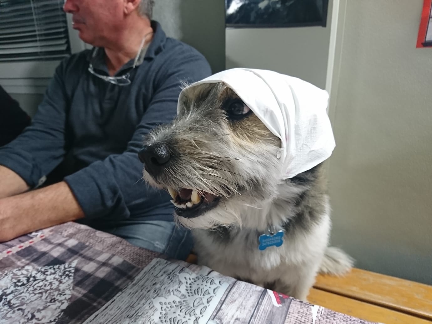 WhatsApp Image 2018 11 13 at 21.24.42